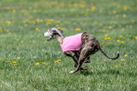 1Prelims Veterans 1 Rosa Marley Luna-1620