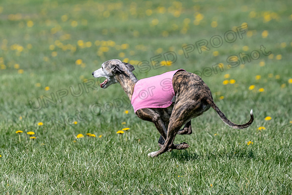 1Prelims Veterans 1 Rosa Marley Luna-1620