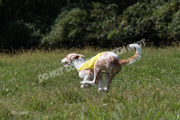 Open Prelim B3, Tavia, Birdie-7963