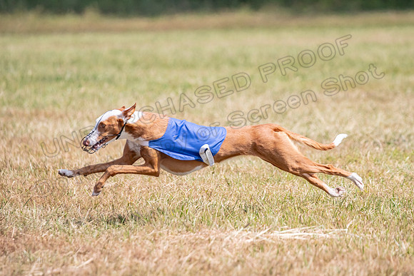 Finals Specials B2 Willow Katy Penny-1460