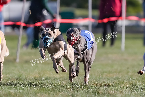 Prg 1, Race 18, Hillary Axl Chase Joplin Rum-9270