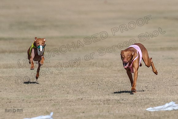 Finals Spec 1 Tango Cayber-1785