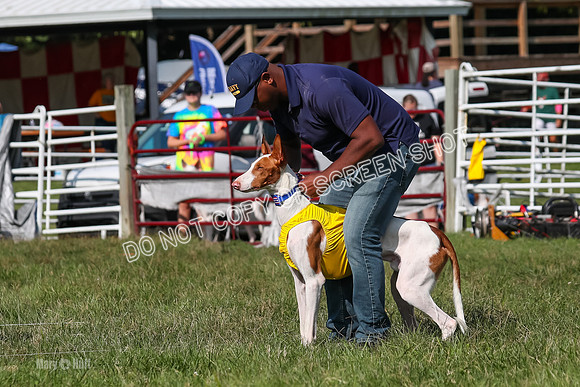 Prelim Spencer-7420