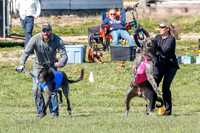 Prelim-2353