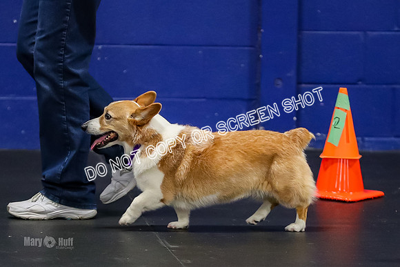 AE4I0778