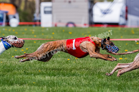 NOTRA Program 2, Race 8, Stoke Nami Nika Eddie-2-9