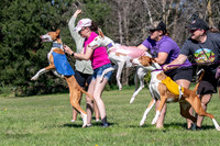 Prelims Fch 1 Ginny Willow Madyson-5430