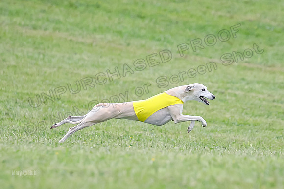 Prelim Open E2, Devo Wyatt Shadow-9076