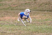 1 Prelims Open 1 AnnieOakley Fennec Zero-1242