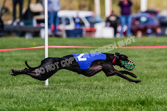 NOTRA Program 2, Race 8, Stoke Nami Nika Eddie-2-18