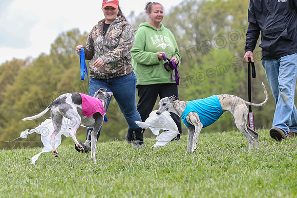 Finals Vets 5, RickyBobby Blue Jewel-2471