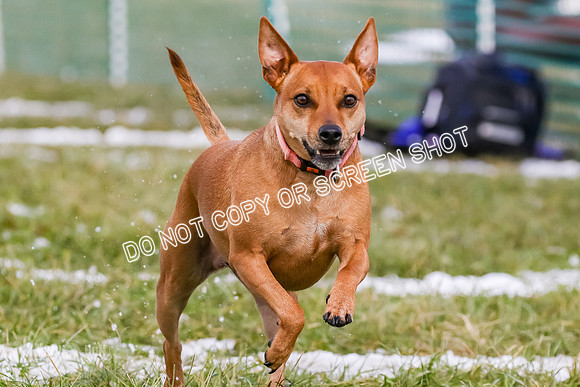 MCH73080