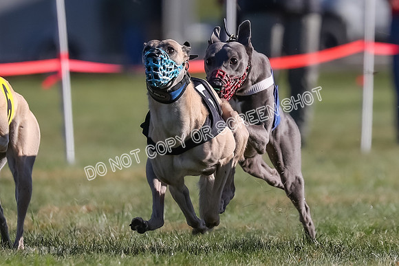 Prg 1, Race 18, Hillary Axl Chase Joplin Rum-9276