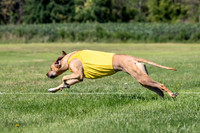 Prelims Fch 1 Islay Opal-5169