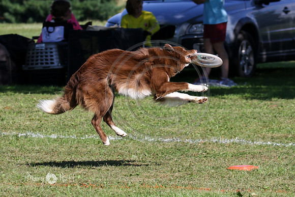 MCH76535