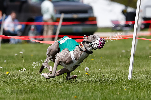 NOTRA Program 3, Race 8, Savvy Joplin Torque Java-2-3