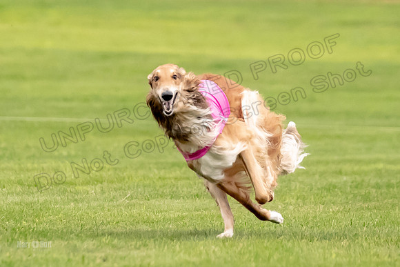 Open Prelim 2, Masquerade Freebie-0531