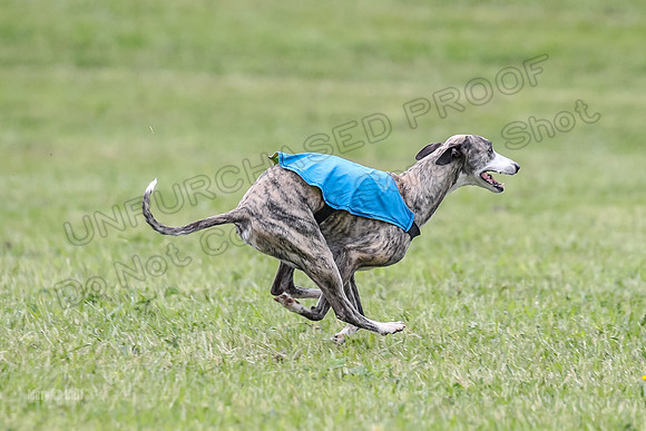 Prelim Veterans 2, Brag Nellie Herk-0137