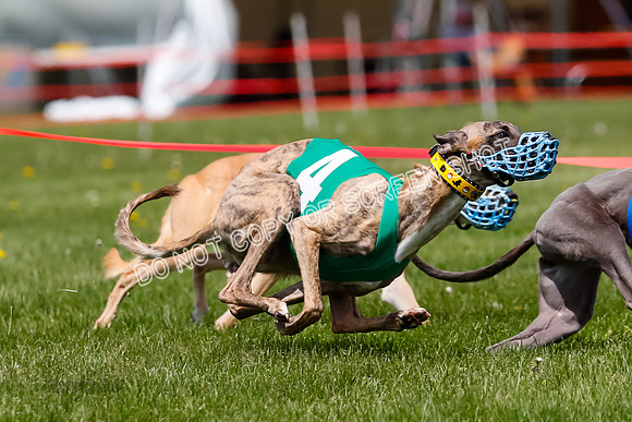 NOTRA Program 3, Race 7, Sparks Jubilee Tahoe Mika-2-16