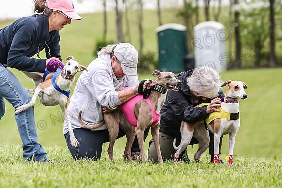 Prelim Open E2, Riddle Finely Scarlet-4821