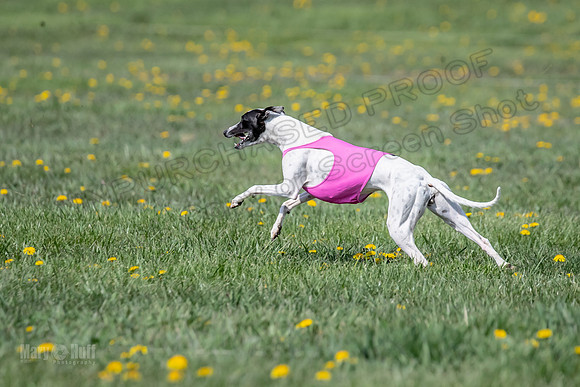 1Prelims Specials B6 Mantle PeteySue Echo-1583
