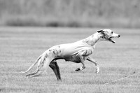 Prelims Sebastian-0598-2