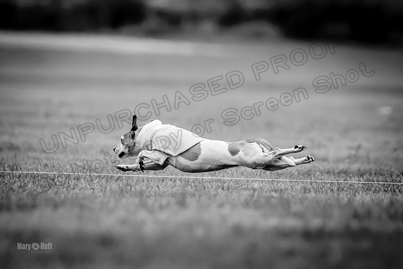 Prelims Rocketgirl-1122-2