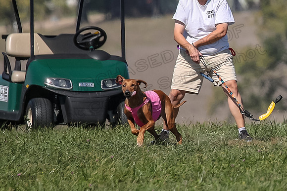 2 Finals Vet 2 Erzulie Libby-8152