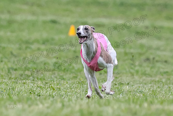 Finals Open A2, Lydia Audrey Misty-6704