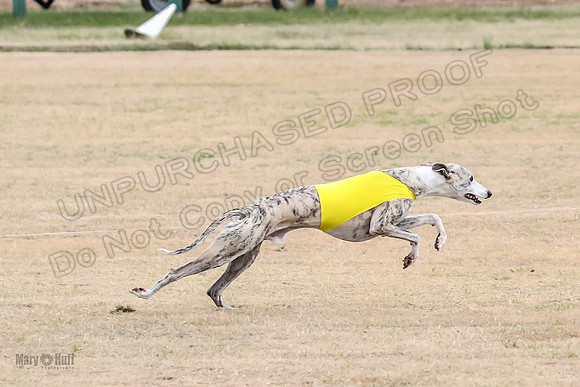 1Prelim Open 3 Eggsy Trixie Treble-3040