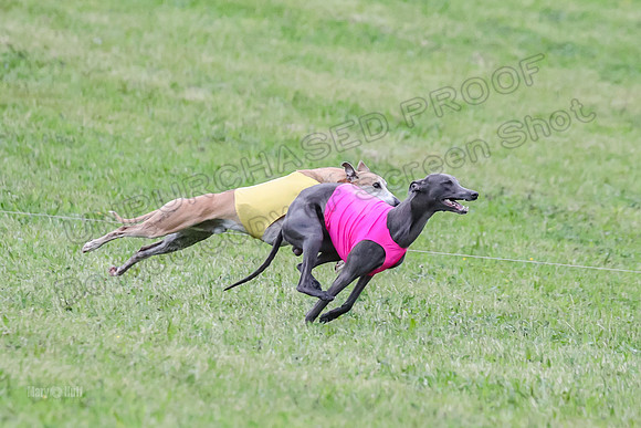 Prelim Open C2, Sparky Strummer Squiggle-8639