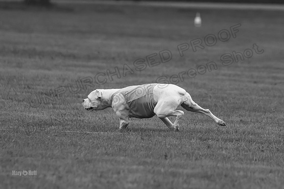 Prelims Nilla-0890-2