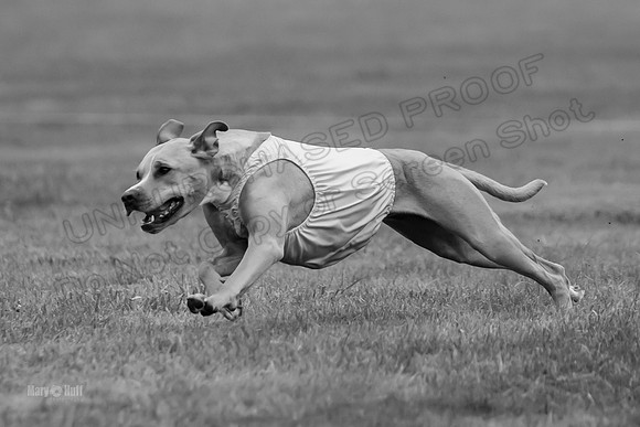 Prelims Zara-0809-2