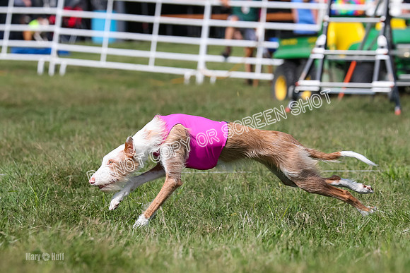 Open Prelim A2, Madyson, Razz-7621