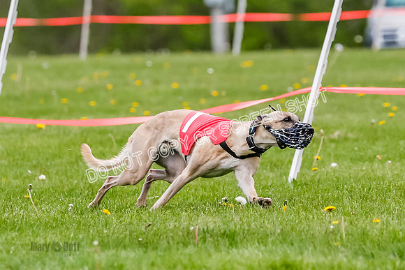 NOTRA Program 2, Race 4, Rum Moki Clyps-2
