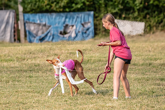 1prelims Vet 1prelim Izzy Dawn-3785