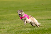 Prelim Open Silken-0407