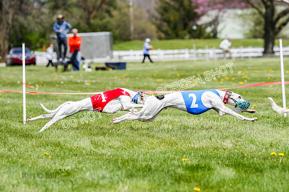 NOTRA Program 3, Race 3, Eddie Elvis Picanha Coyote-2-31
