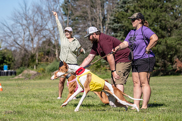 Prelims Open Jagger Maverick-5331
