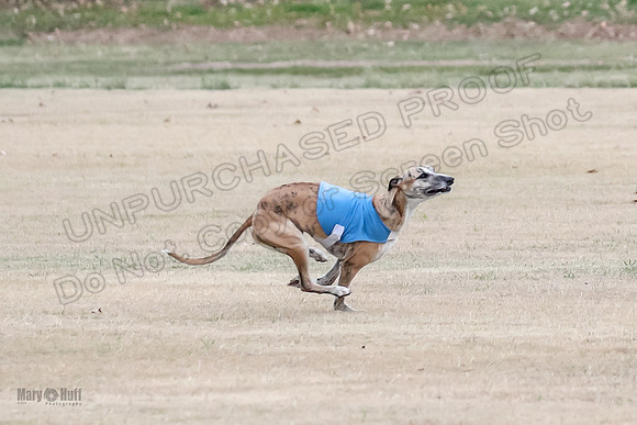 1Prelim Open 2 Shine Maverick Steel-2981