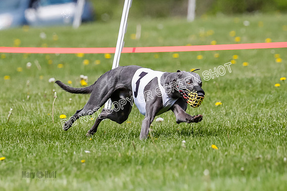 NOTRA Program 2, Race 6, Cinder Stormy Gibbs Shakespeare-2-3