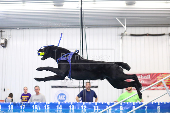MCH55816