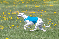 1Prelims Veterans 1 Rosa Marley Luna-1617