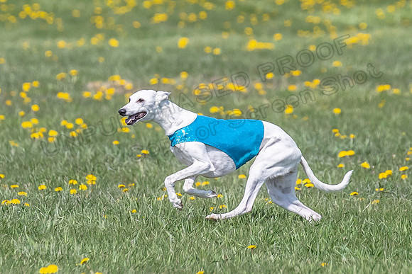 1Prelims Veterans 1 Rosa Marley Luna-1617