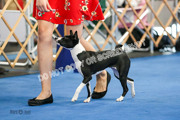 MCH58436