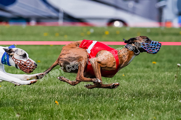 NOTRA Program 2, Race 8, Stoke Nami Nika Eddie-2-11