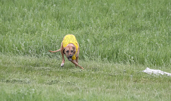 1 Prelims Fch Islay Eve Opal-8339
