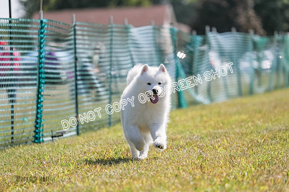 AE4I1249