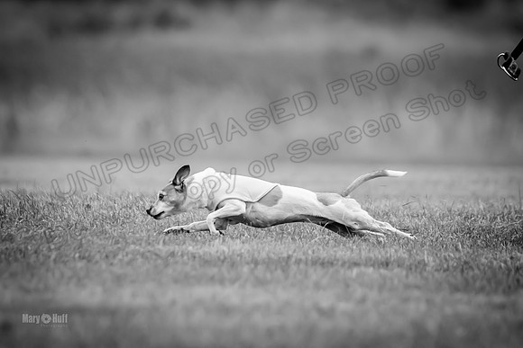 Prelims Rocketgirl-1114-2