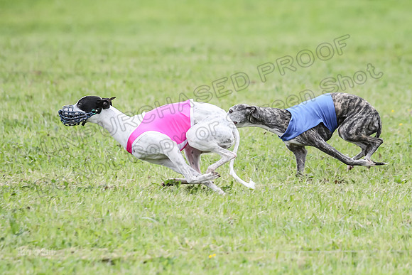 Prelim Specials B3, Riggs Allison Twanda-9883